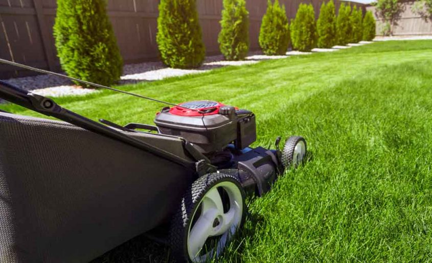 Lawn Landscaping