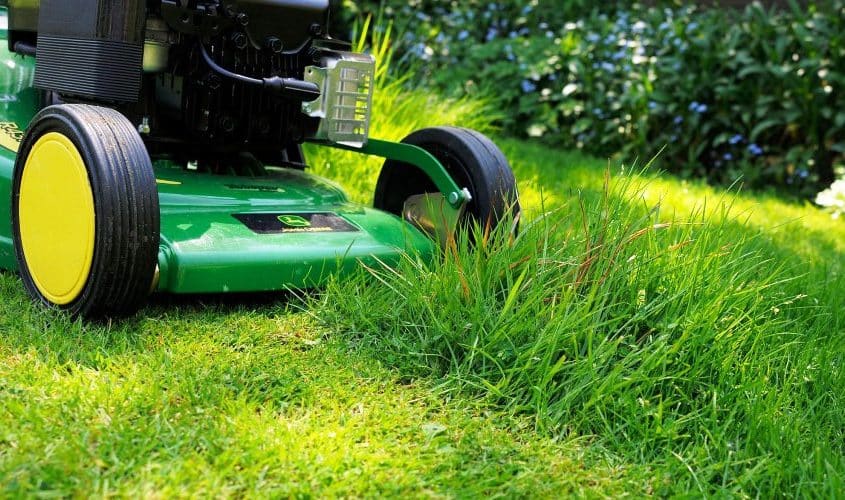 Mowing Your Lawn: Pro Tips to Get the Job Done Right